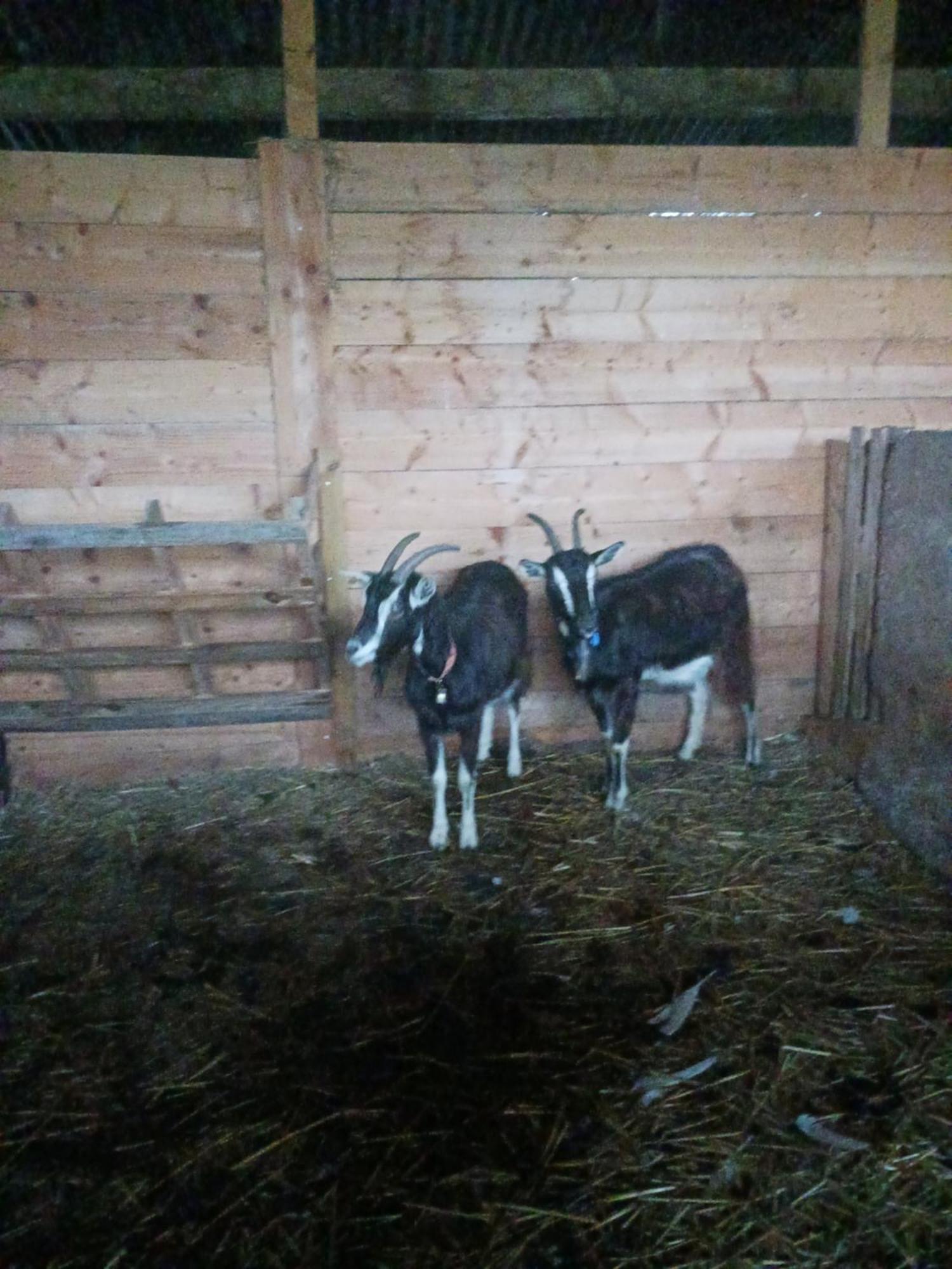 Apartmán La Ferme Stanczak Tréguier Exteriér fotografie