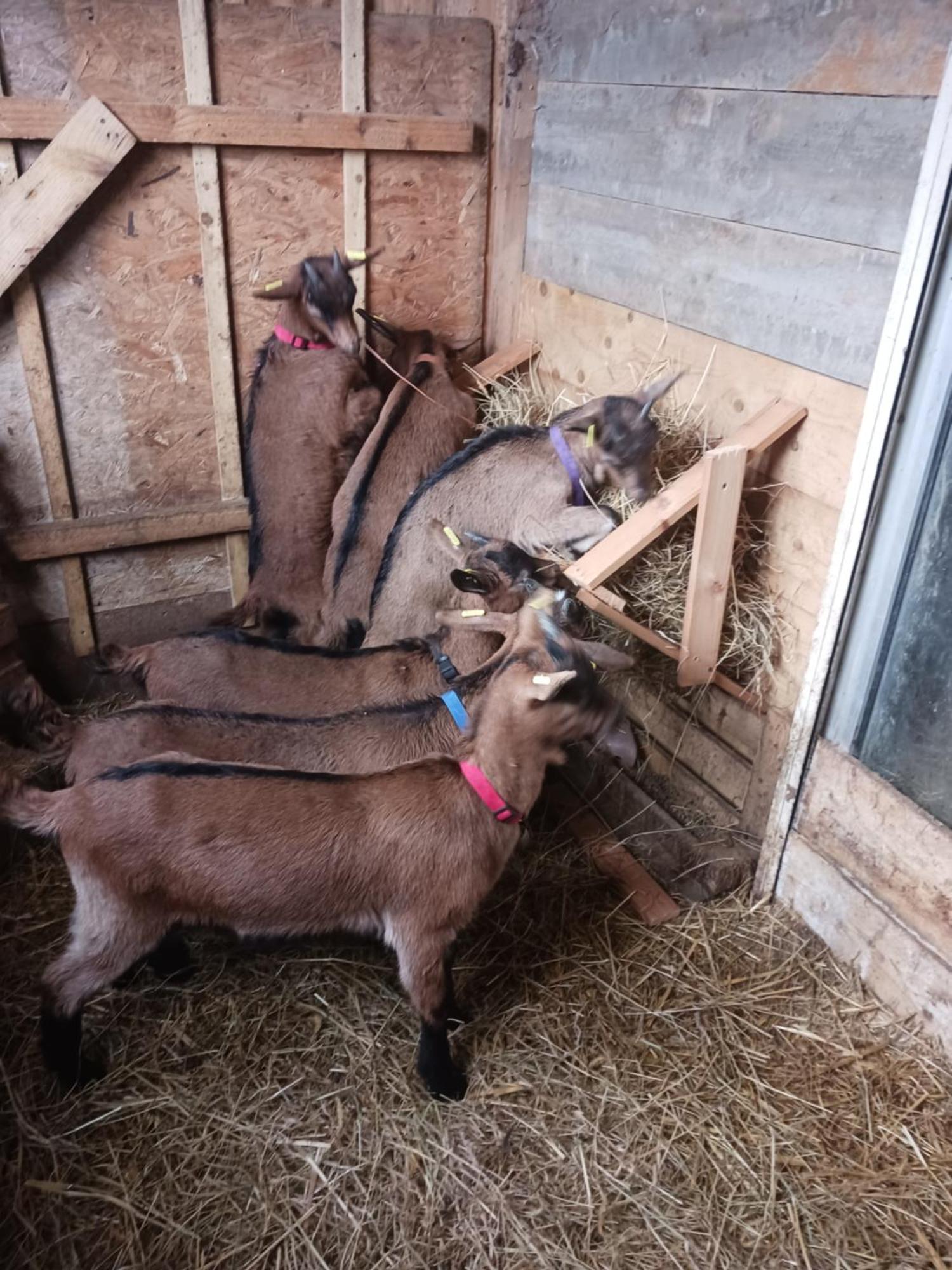 Apartmán La Ferme Stanczak Tréguier Exteriér fotografie