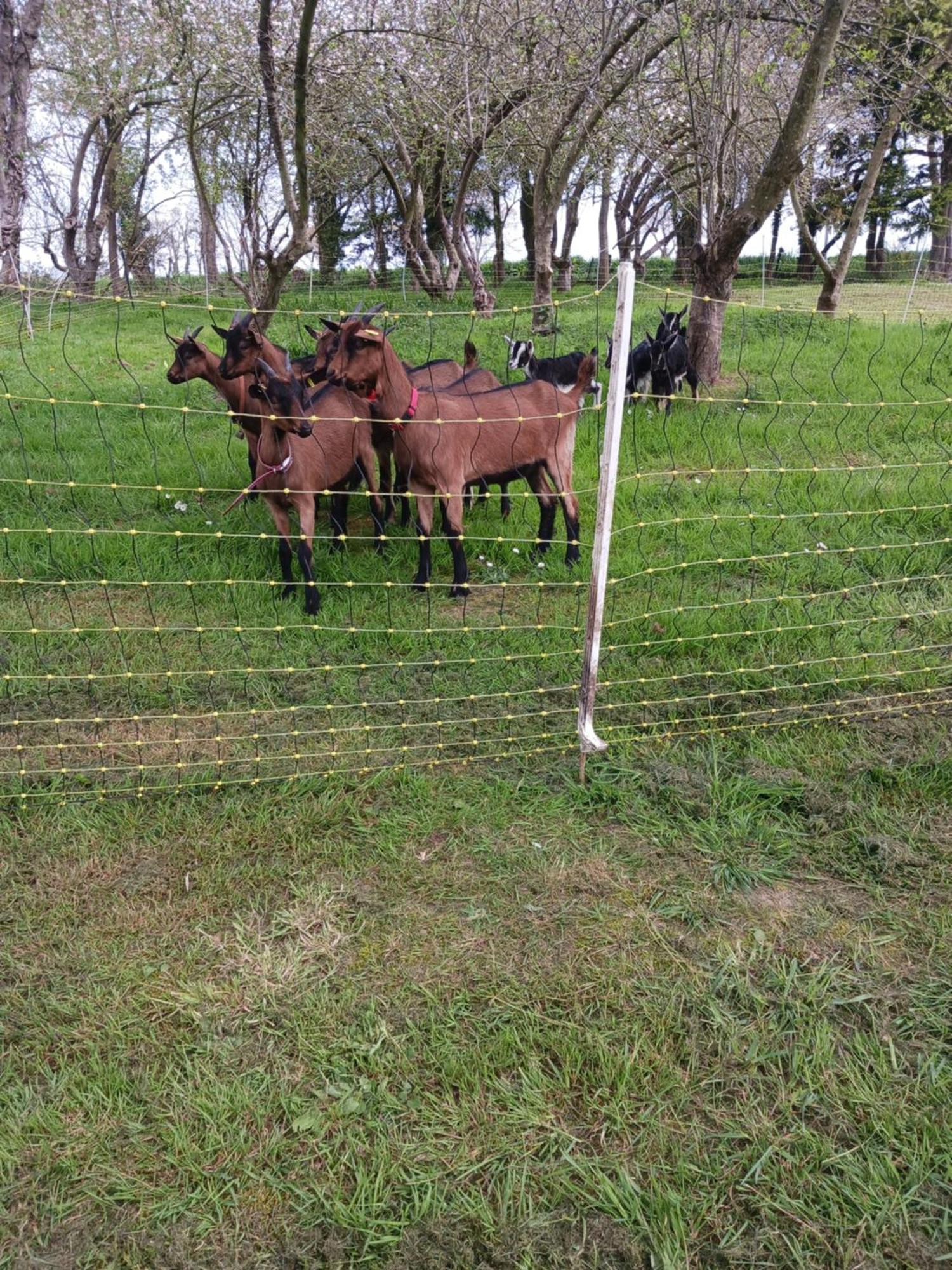 Apartmán La Ferme Stanczak Tréguier Exteriér fotografie